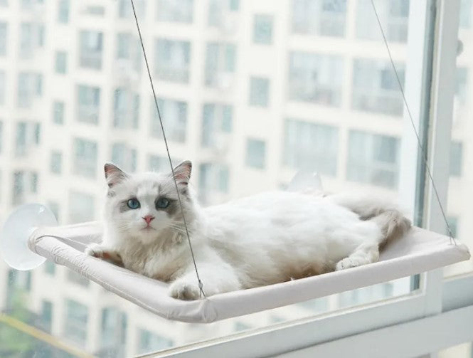 Pet Window Hammock