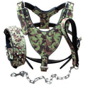 Haoyueer Spiked Dog Collar & Harness Set